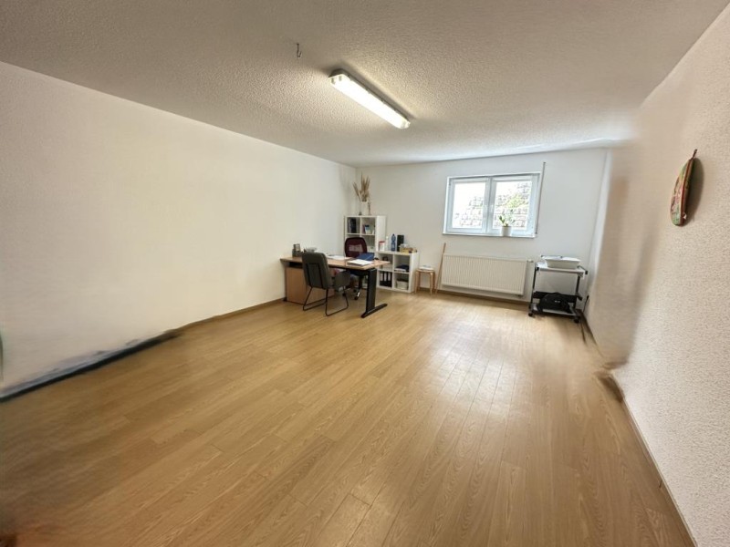 Wohnen-Arbeiten Gartengeschoss