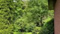 Blick in den Garten