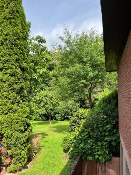 Blick in den Garten