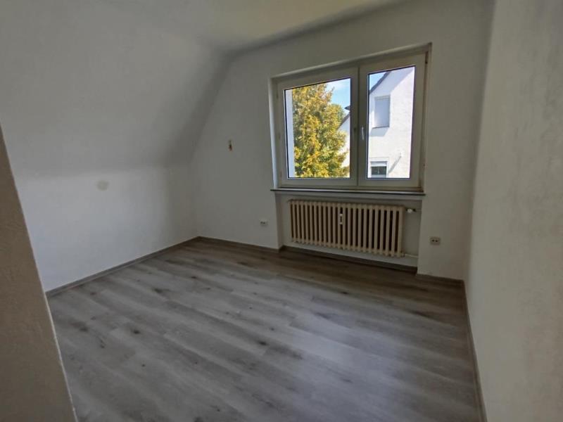 Zimmer3 DG