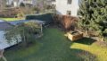 Blick in Garten