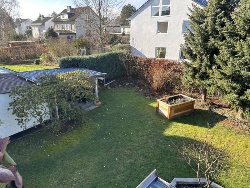 Blick in Garten