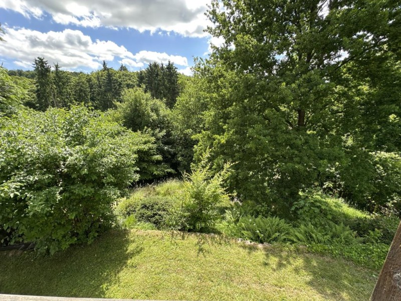 Blick vom Freisitz